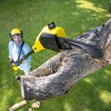 Lawn Maintenance Plans in Shokan, NY